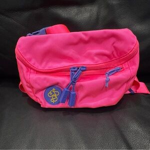NWOT Baboon to the Moon 3L Fanny- Sofi Tukker edition